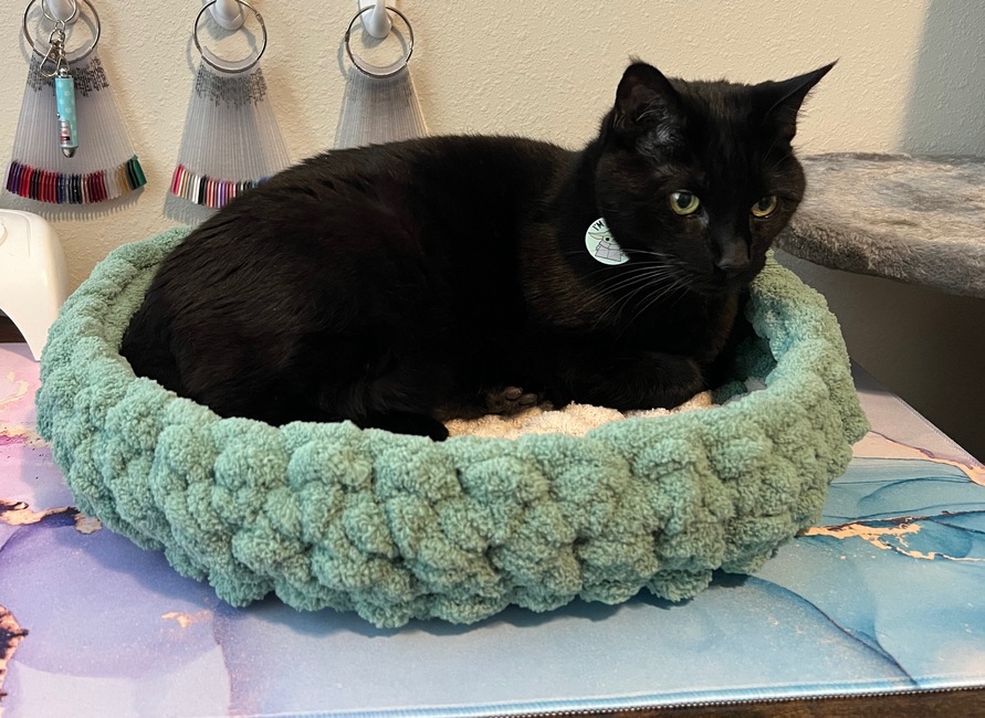 Chunky clearance cat bed