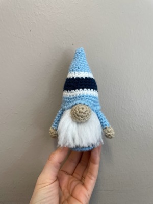 Team Spirit Pocket Gnome