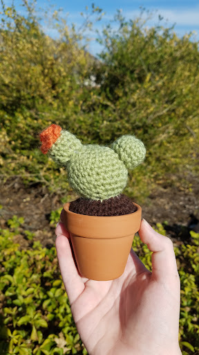 Space Bun Cactus