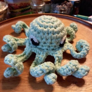 Octopus Plushie (No-Sew/Amigurumi)