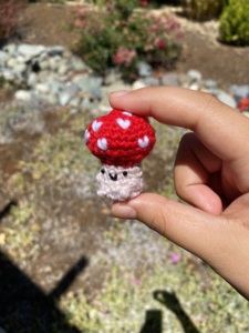 Kinoko the mushroom