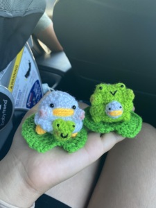 2 in 1 Chubby Chick and Frog Buddies