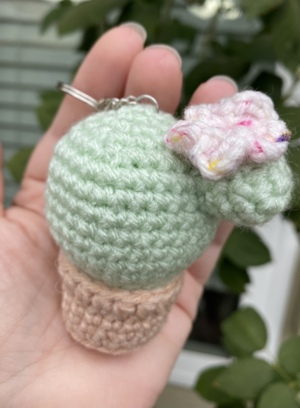 Crochet Flower Keychain Creative Cactus Knitted Keychain Gift 