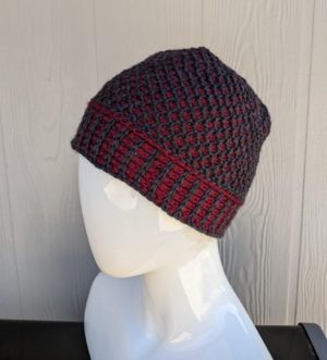 Tunisian Honeycomb Beanie