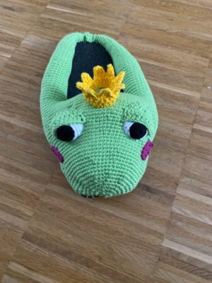 Royal Frog Slippers