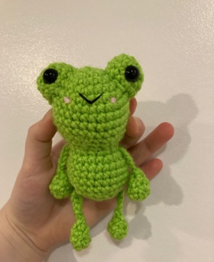 Flipsy the Froggy!