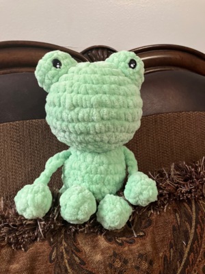 Flipsy the Froggy!