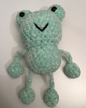 Flipsy the Froggy!