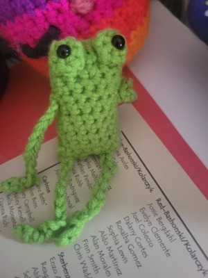 Robert the leggy frog