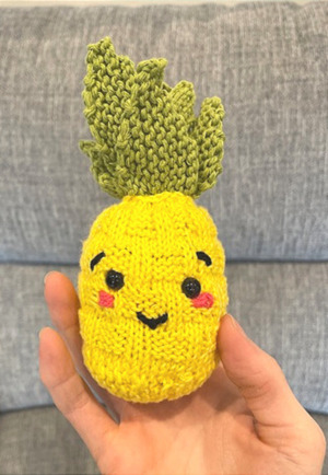 Knitted Pineap-Pal