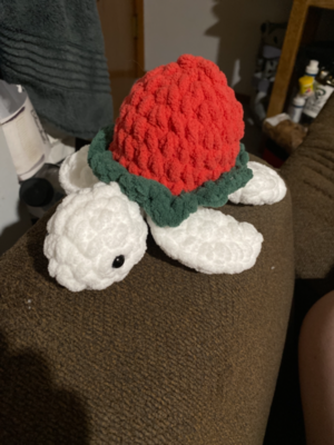Strawberry Turtle