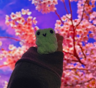 Mochi Pals: Frog NO SEW!