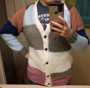 Caron Adult Knit V-Neck Pullover