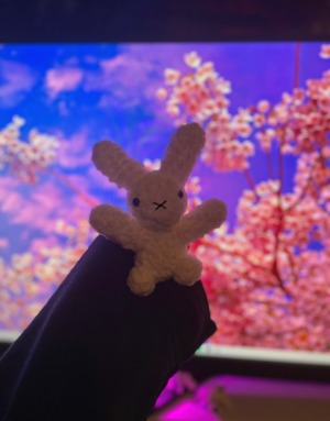 Baby miffy plushie