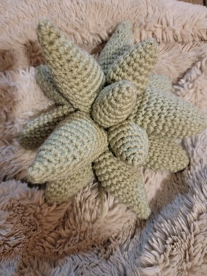 Crochet succulent pillow