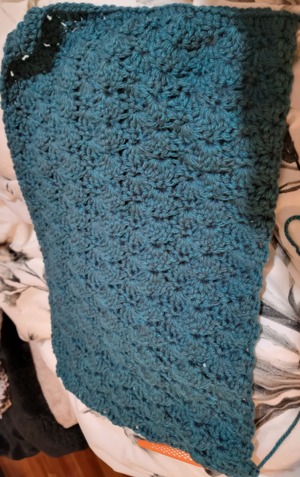 Shell Stitch Scarf