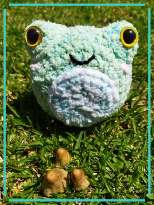 Mini Froggy Plushie