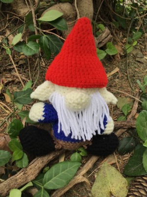 Lil' Gnomie