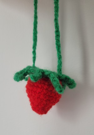 Strawberry pouch