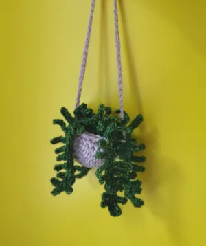 Fern Mini Hanging Plant