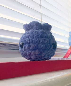 Mini blueberry