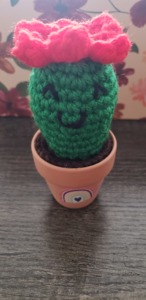 One-Hour Cactus