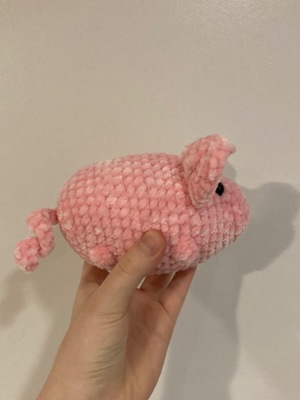 Pig