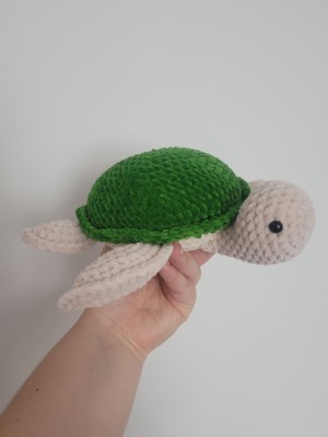 Sea Turtle