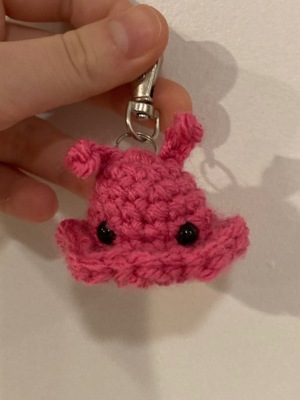 Mini Dumbo Octopus