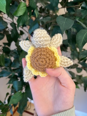 Baby sunflower turtle