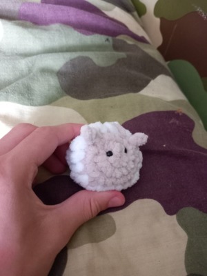 pocket sheep