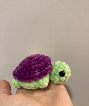 mini turtle