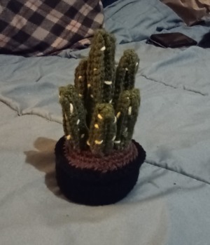 Crochet Fairy Castle Cactus