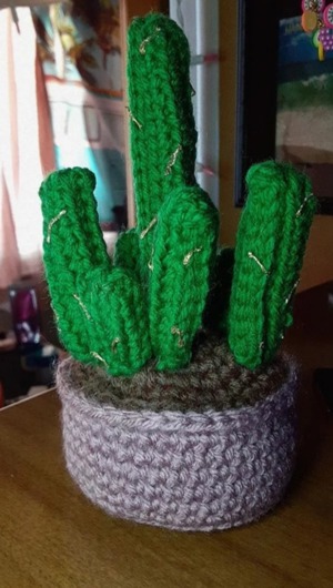 Crochet Fairy Castle Cactus