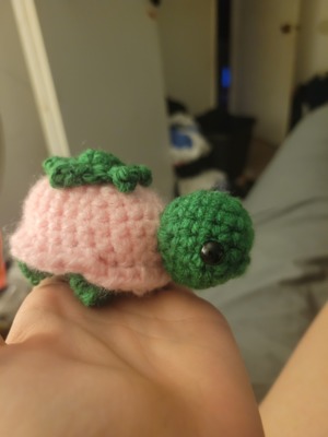 Low-sew Strawberry Turtle