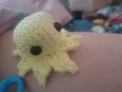 Mini Sunshine Octopus