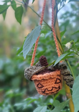 Tiny Pumpkin Hanging Plant