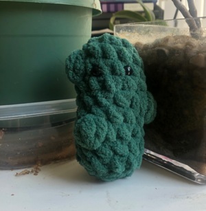 Emotional Support pickle No Sew: Crochet pattern