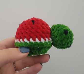 Watermelon Turtle