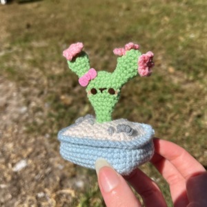 Crochet Bunny Ear Cactus