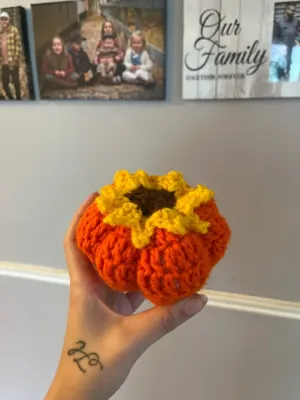 Sunflower Pumpkin
