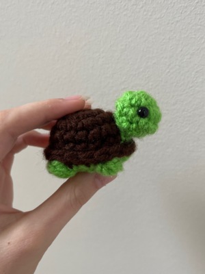 Squirt the No-Sew Turtle