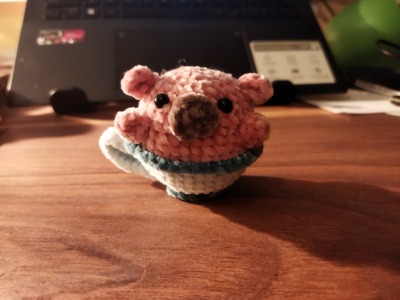 Teacup pig