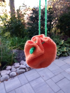 Orange Pouch