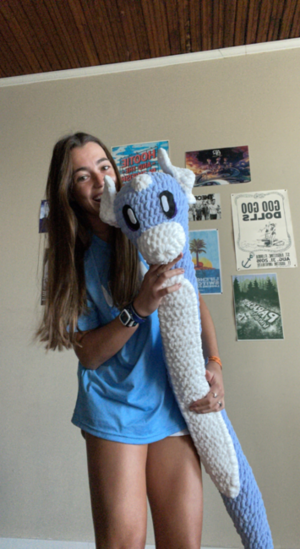 Crochet Giant Pokemon Plush - Dratini