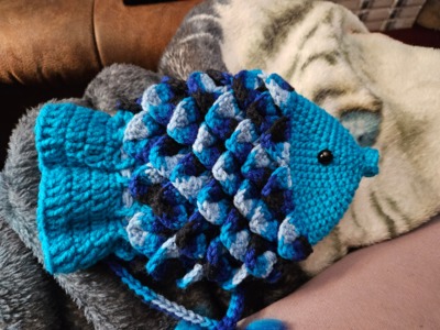 AuntFanny make for Fish Drawstring Bag