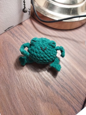 fidget froggy