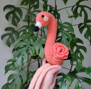 Floyd the Flamingo