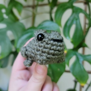 Froggy No-Sew Amigurumi