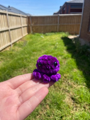 mini octopus